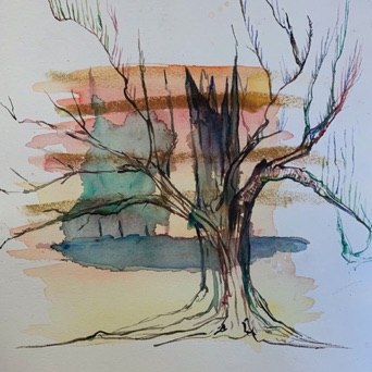 JUST A TREE
Watercolor- 11 x 14
$250.00